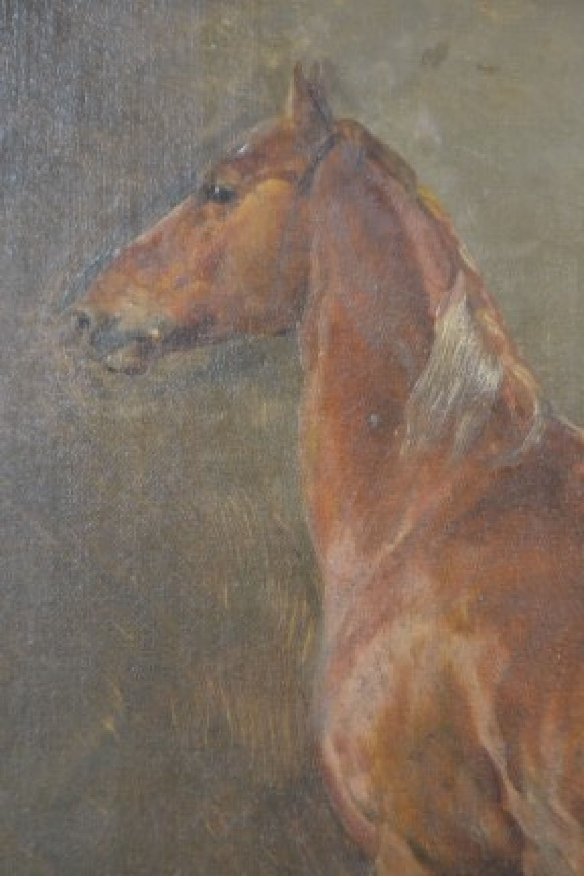 Detail c: Carl Constantin Steffeck, 1818 Berlin-1890 Königsberg, Studium an der Akademie Berlin, Meisterklasse von Franz Krüger, 1839 Weiterbildung in Paris ...