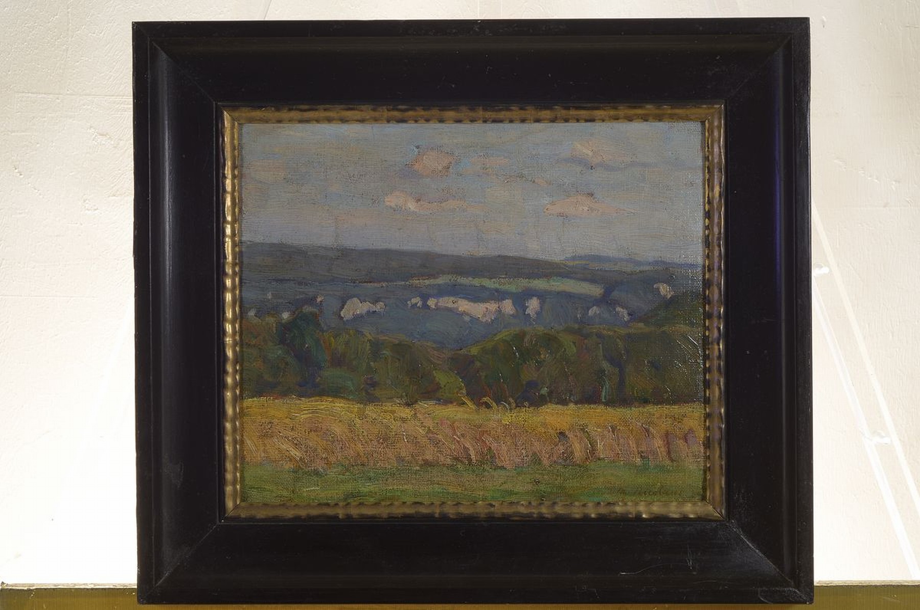 Detail k: Martin Nicolaus, 1870 - 1945, sommerliche Landschaft wohl auf der schwäbischen Alb, rechts unten signiert, Öl/Lwd/Holz, rest., R. ca. 31x38 / 45x53 ...