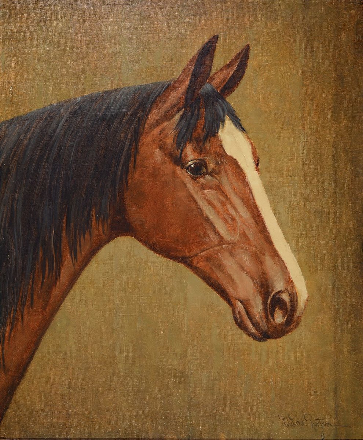 Heinz Werner van der Porten, geb. 1930 Düsseldorf, Pferdeporträt, Öl/Lwd, rechts unten signiert, ca. 60x50cm, R. ca. 76x66cm