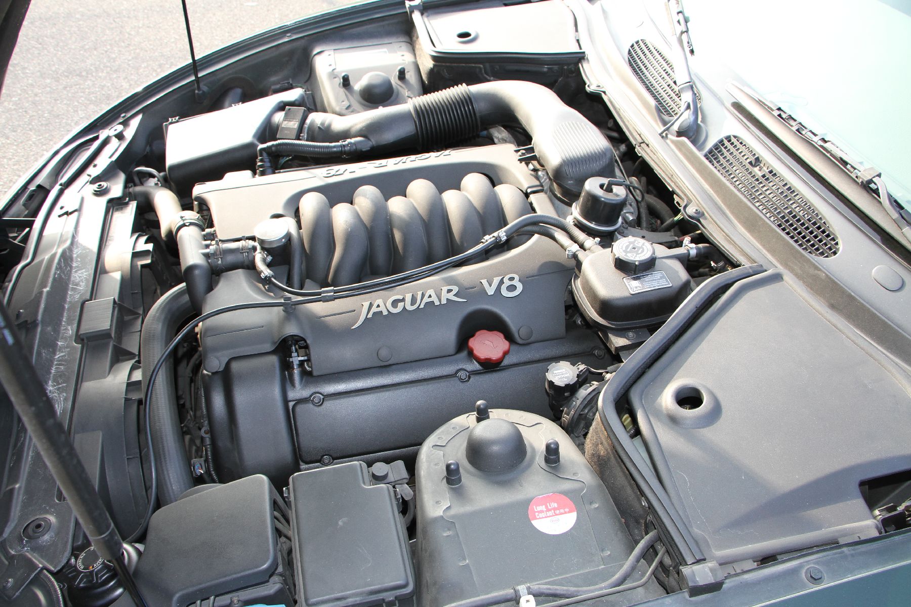 Detail g: Jaguar XK 8 Coupé, EZ 02/1996, Fahrgestellnummer: SAJJGKED4AR004200, Laufleistung 117.000 km abgelesen, British Racing Green, Lederausstattung in ...