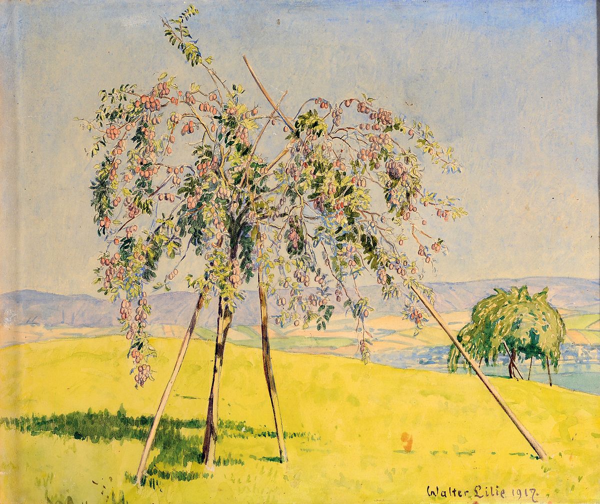 Walter Lilie, 1876 Leipzig-1924 Schwetzingen, Sohn des Moritz Lilie (1835- 1904), Studium an der Akademie Dresden unter Carl Bantzer, hier: Konvolut ...