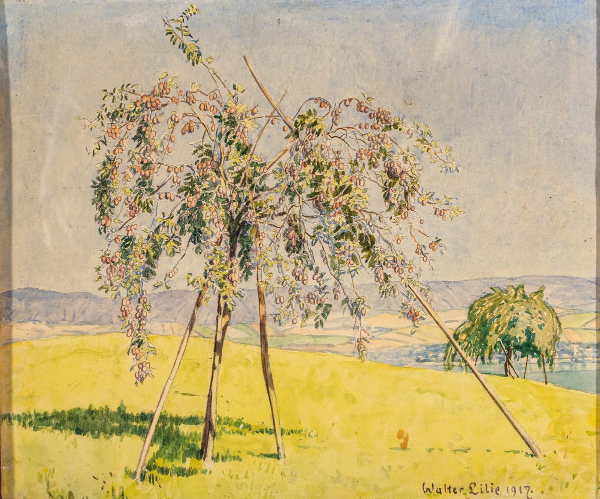 Detail b: Walter Lilie, 1876 Leipzig-1924 Schwetzingen, Sohn des Moritz Lilie (1835- 1904), Studium an der Akademie Dresden unter Carl Bantzer, hier: Konvolut ...