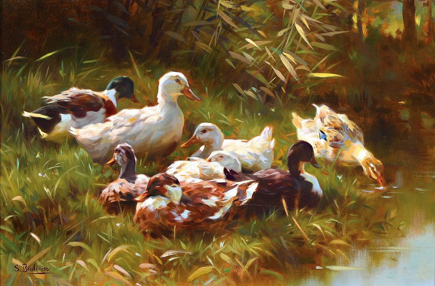 Sergio Budicin, geb. 1939, Enten am Ufer, Öl/Malkarton, links unten signiert, ca. 20x30cm, R. ca. 31x41cm