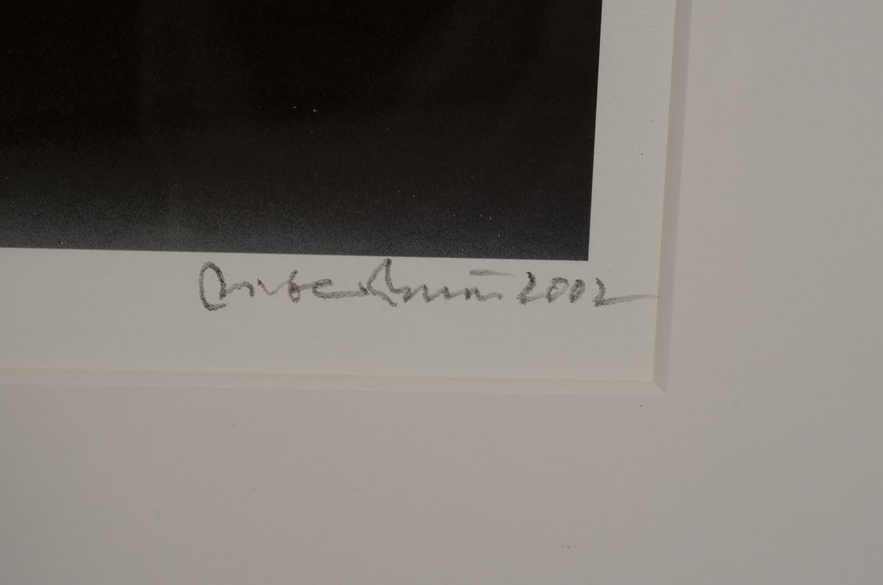 Detail c: Dieter Blum, geb. 1926, Pigmentdruck auf dickem Karton, handsigniert, Tänzer Vladimir Malakhov, kleine Auflage 9/15, dat. 2002, PP: 39 x 38.2 cm, ...