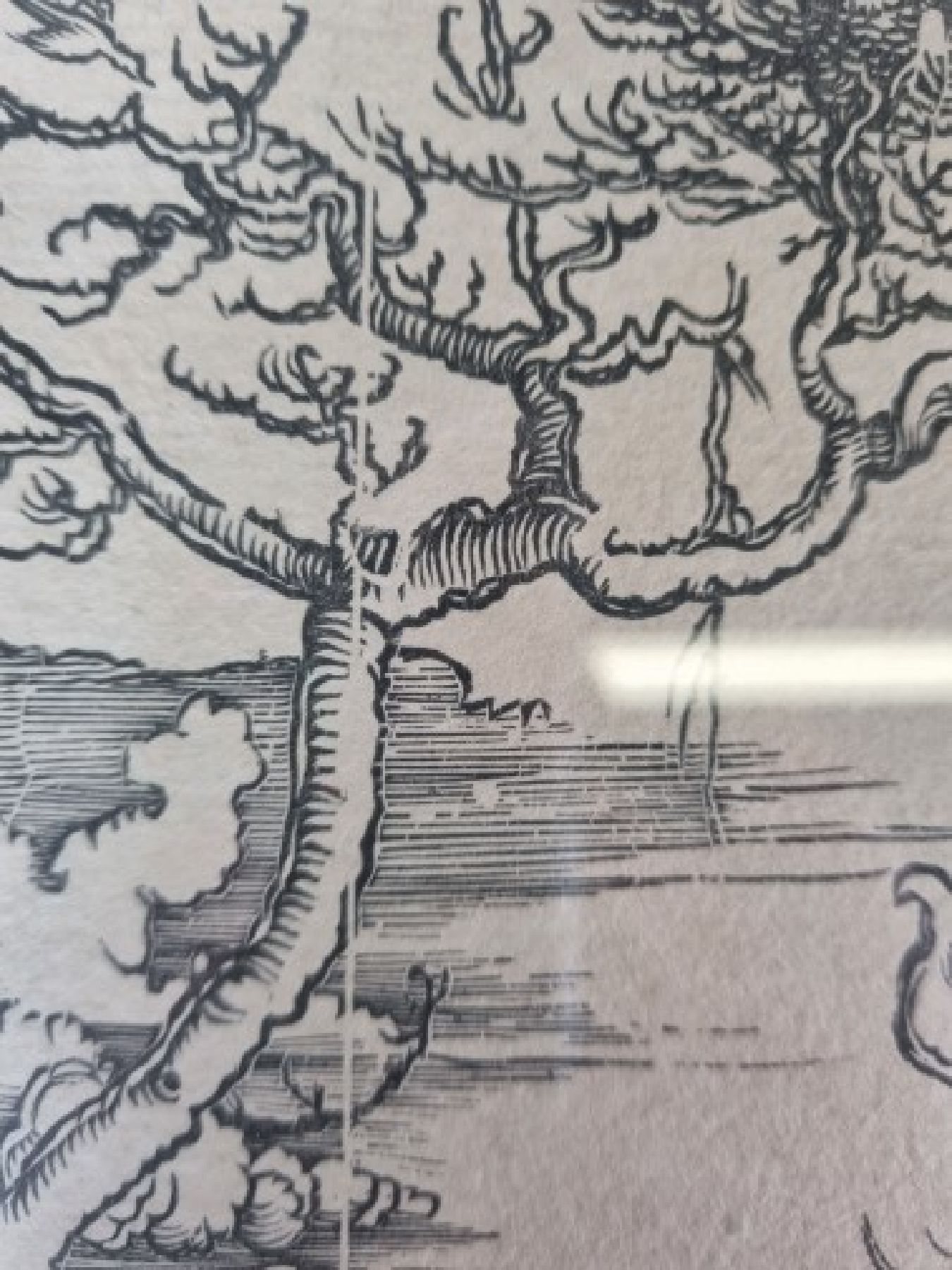 Detail l: Albrecht Dürer, 1471 Nürnberg - 1528 ebenda, Holzschnitt, "Herkules" (1496-98), Herkules tötet die Molioniden, späterer Abzug, wohl ...