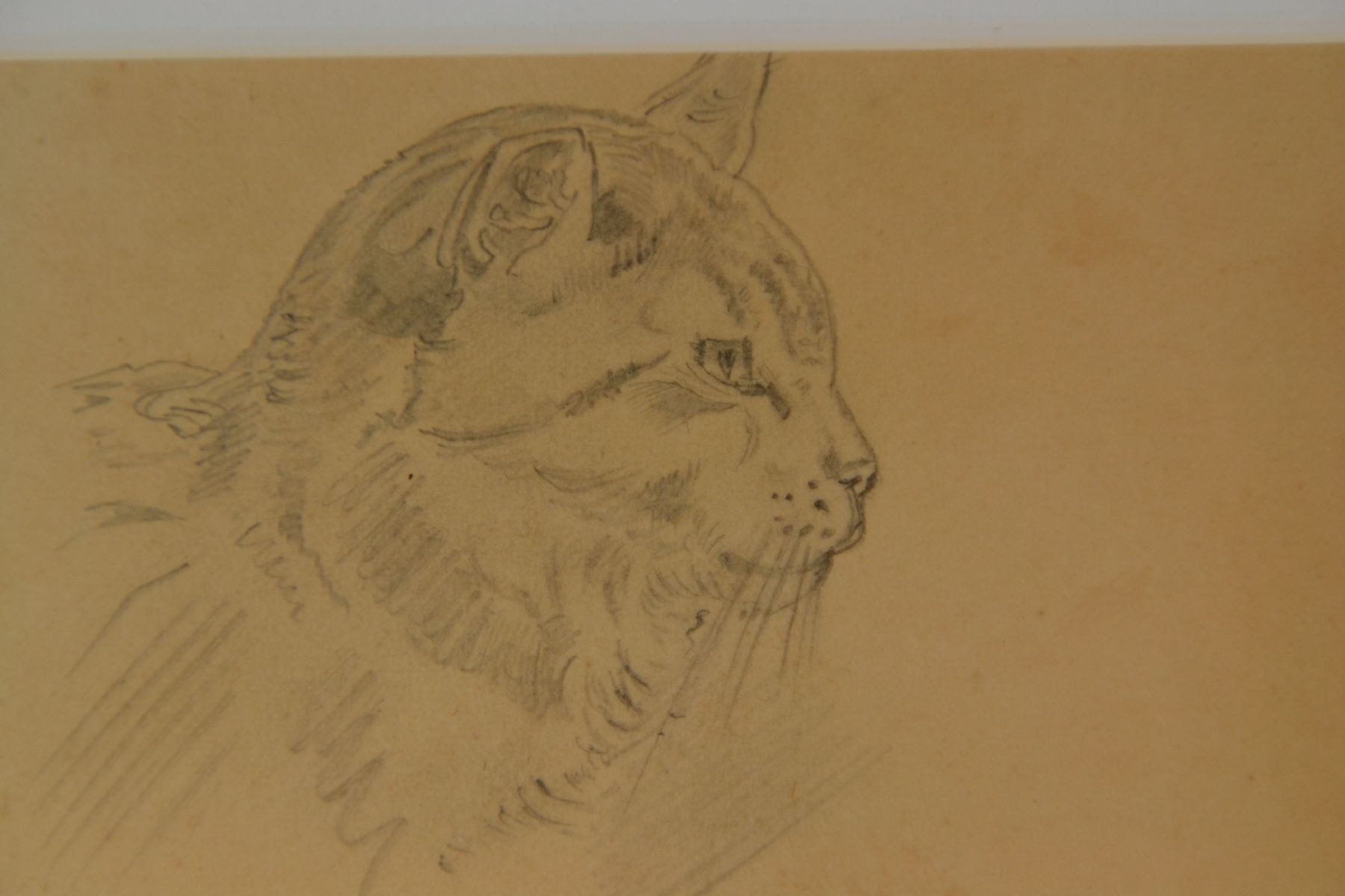 Detail b: Friedrich Preller, d. Ältere, 1804 Eisenach - 1878 Weimar, Bleistiftzeichnung, bez. "Die Hauskatze", aus einem Skizzenbuch entnommen und ...