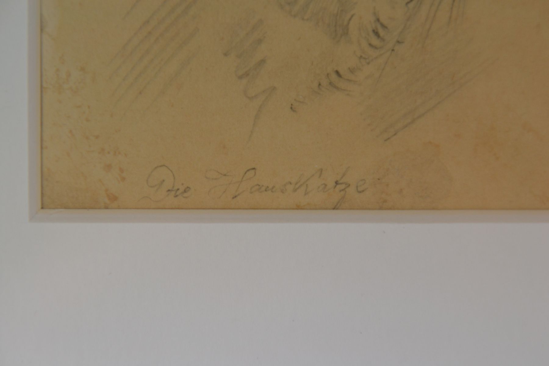 Detail c: Friedrich Preller, d. Ältere, 1804 Eisenach - 1878 Weimar, Bleistiftzeichnung, bez. "Die Hauskatze", aus einem Skizzenbuch entnommen und ...