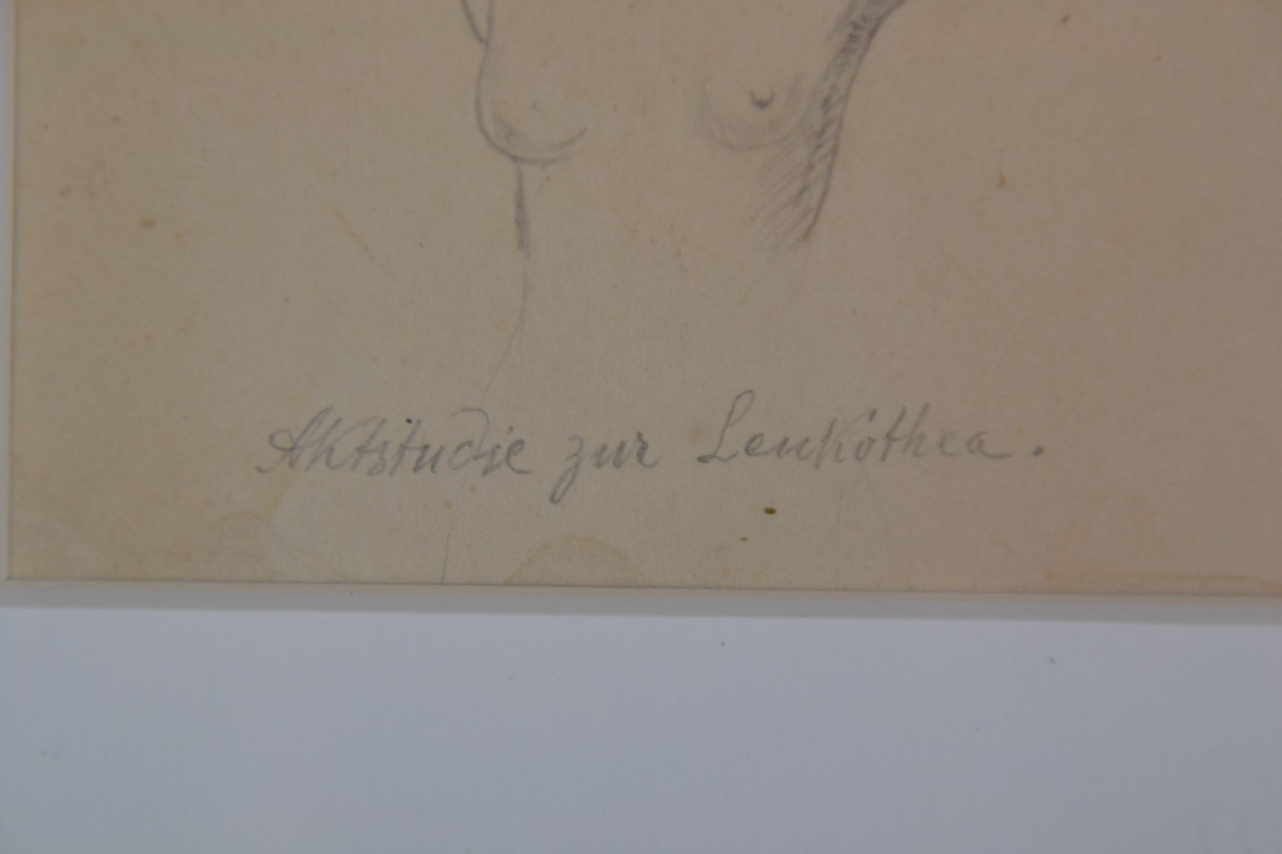 Detail d: Friedrich Preller, d. Ältere, 1804 Eisenach - 1878 Weimar, zwei Bleistiftzeichnungen, bez."Aktstudie zur Leukothea und Bonaventura ...