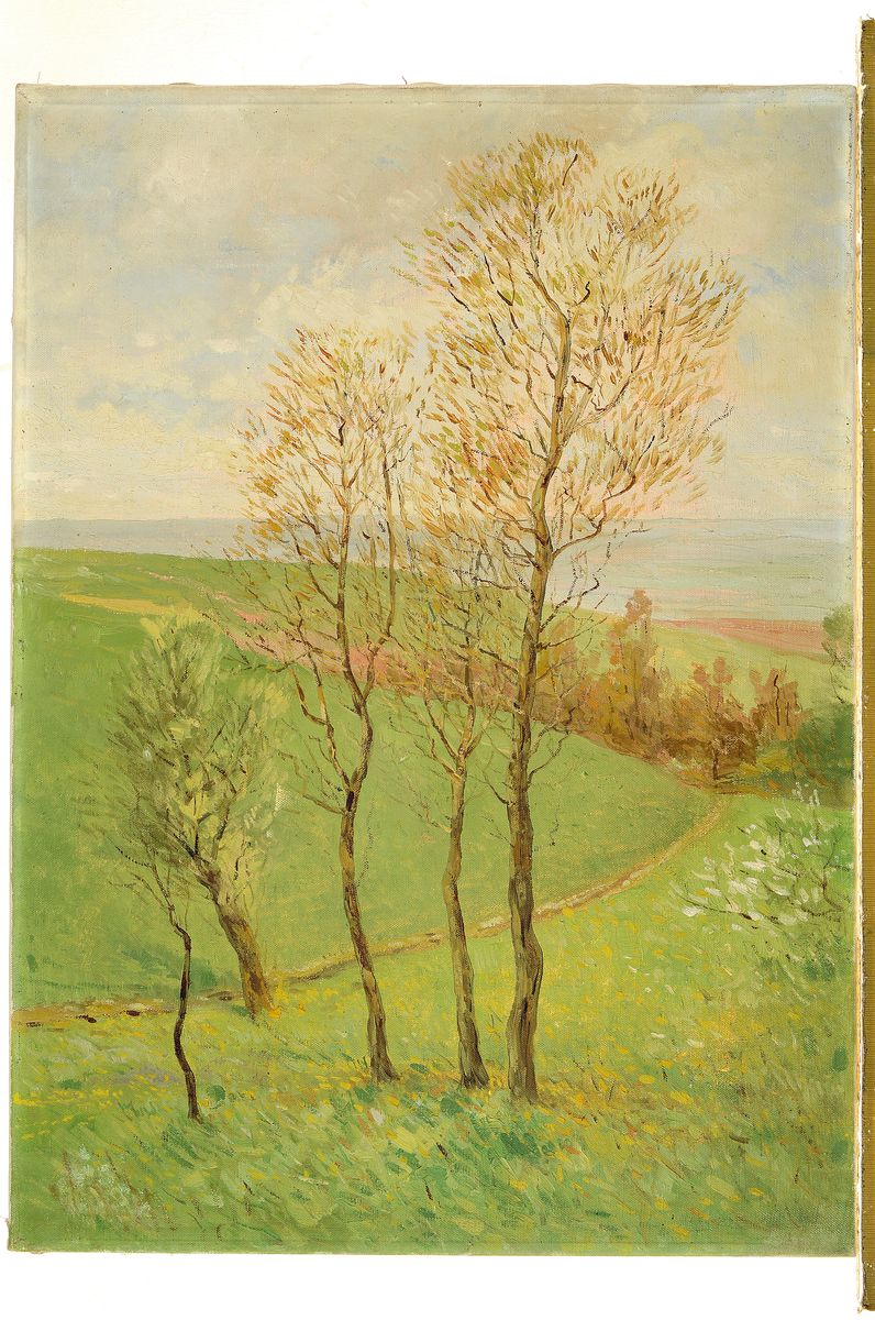 Detail k: Adolf Luntz, 1875 Wien-1934 Karlsruhe, Bodensee, so rückseitig betitelt, Landschaft mit Baumgruppe, Öl/Lwd, rückseitig auf dem Keilrahmen ...