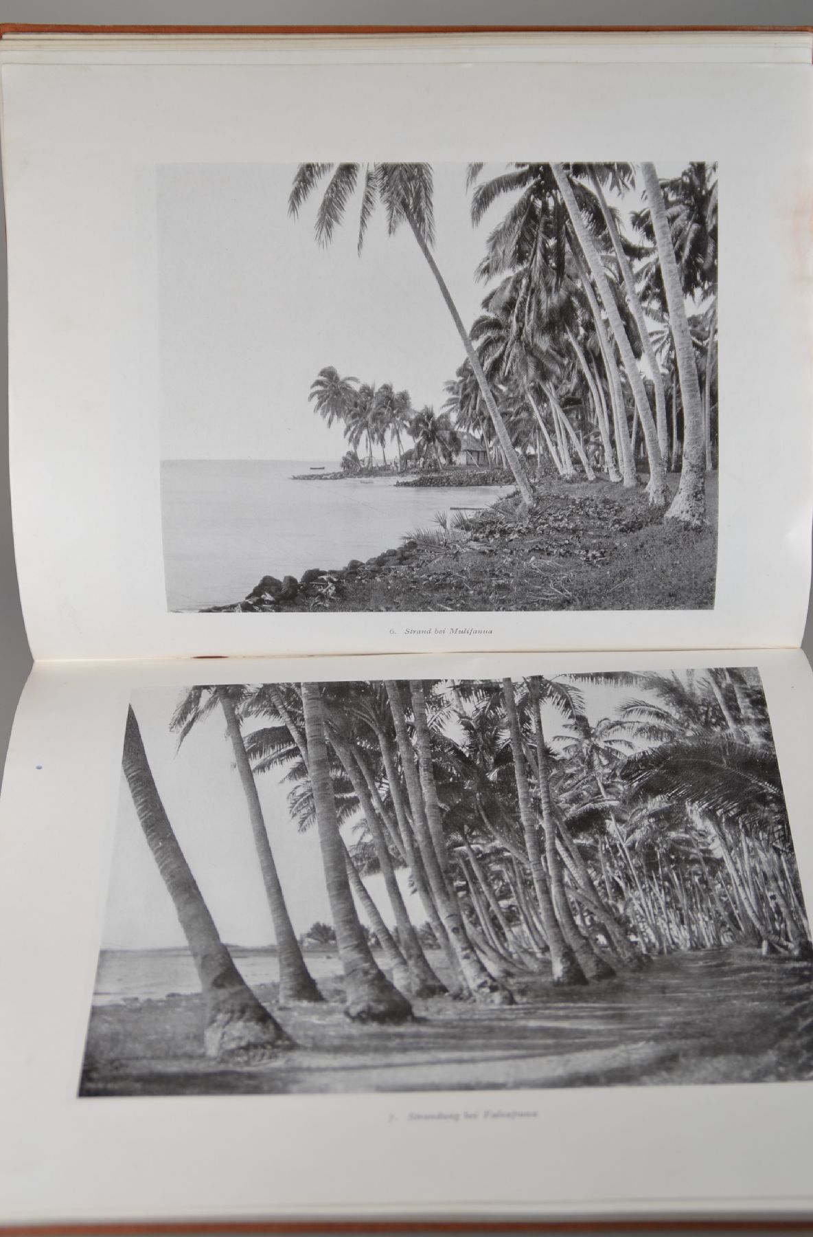 Detail d: Erich Scheurmann, 1878 Hamburg-1975 Armsfeld, See- und Palmenlandschaft in Samoa, so verso bez., Öl u. Bleistift auf Lwd, links unten signiert, ohne ...