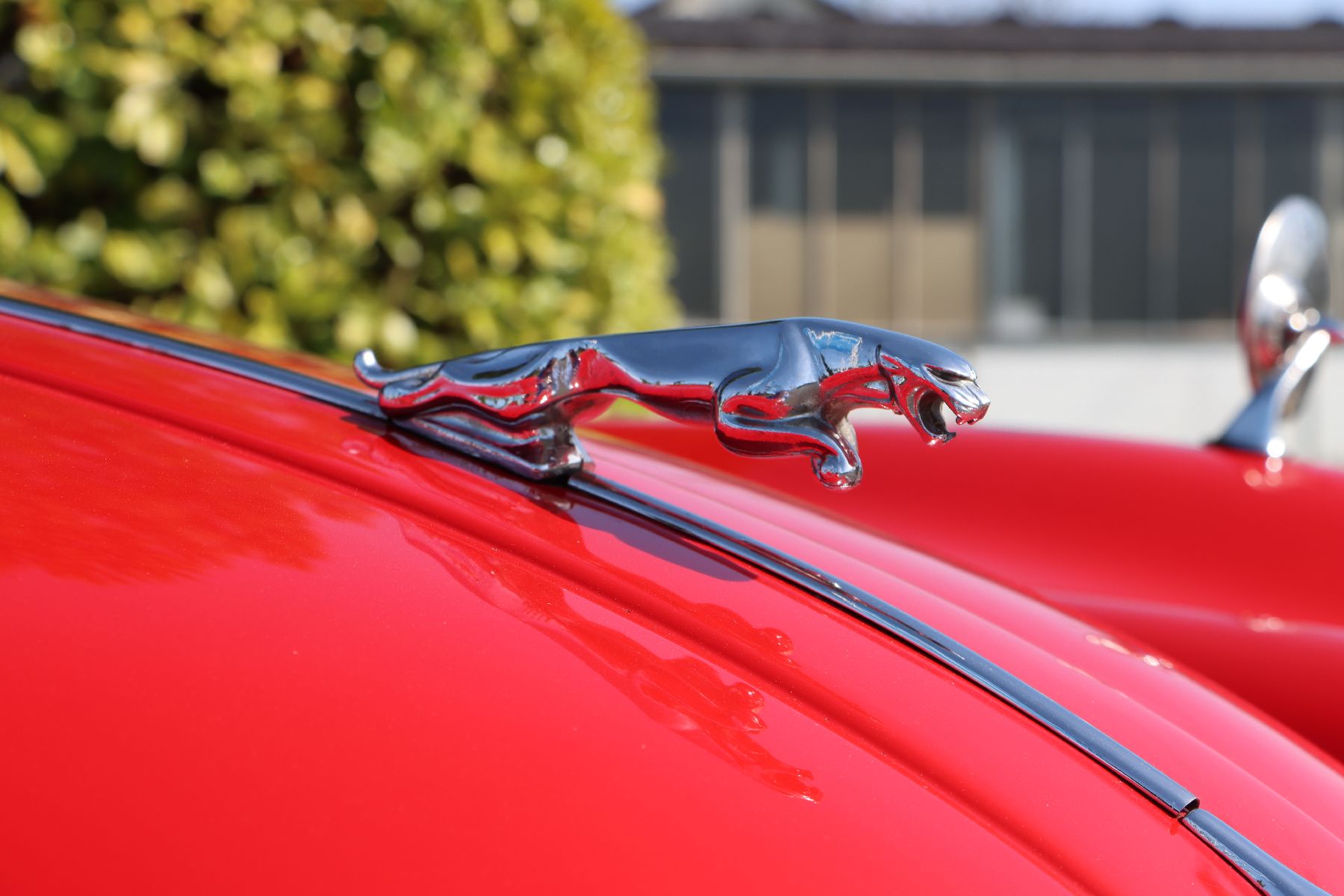Detail h: Jaguar XK 150 DHC, Fahrgestellnummer: S838536, EZ 07/1960, Laufleistung ca. 34.501 miles abgelesen, 140 kW/ 190 PS, Schaltgetriebe, Farbkombination ...