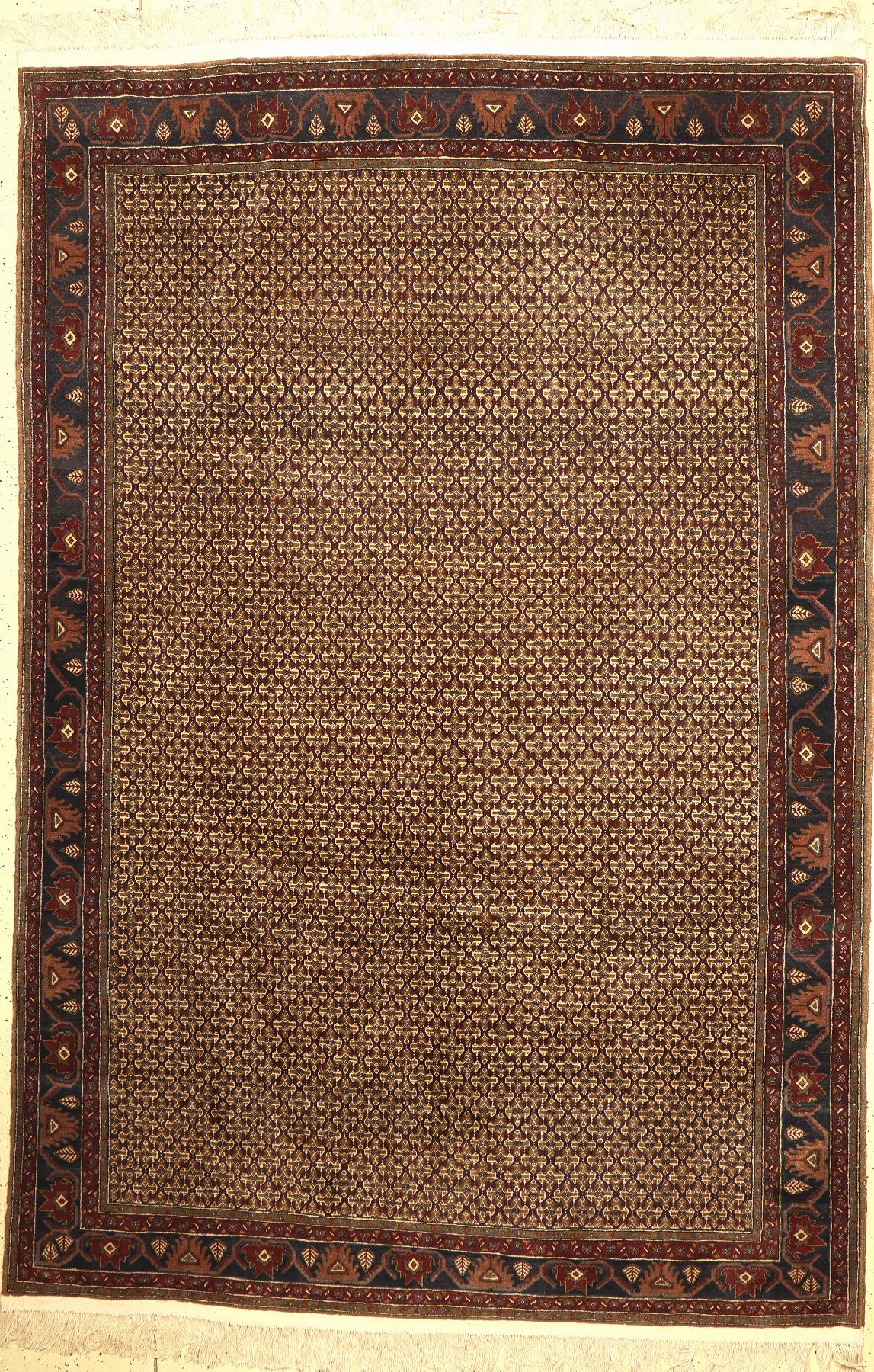Koliai Muster, Afghanistan, ca. 50 Jahre, Wolle auf Wolle, ca. 300 x 197 cm, EHZ: 2