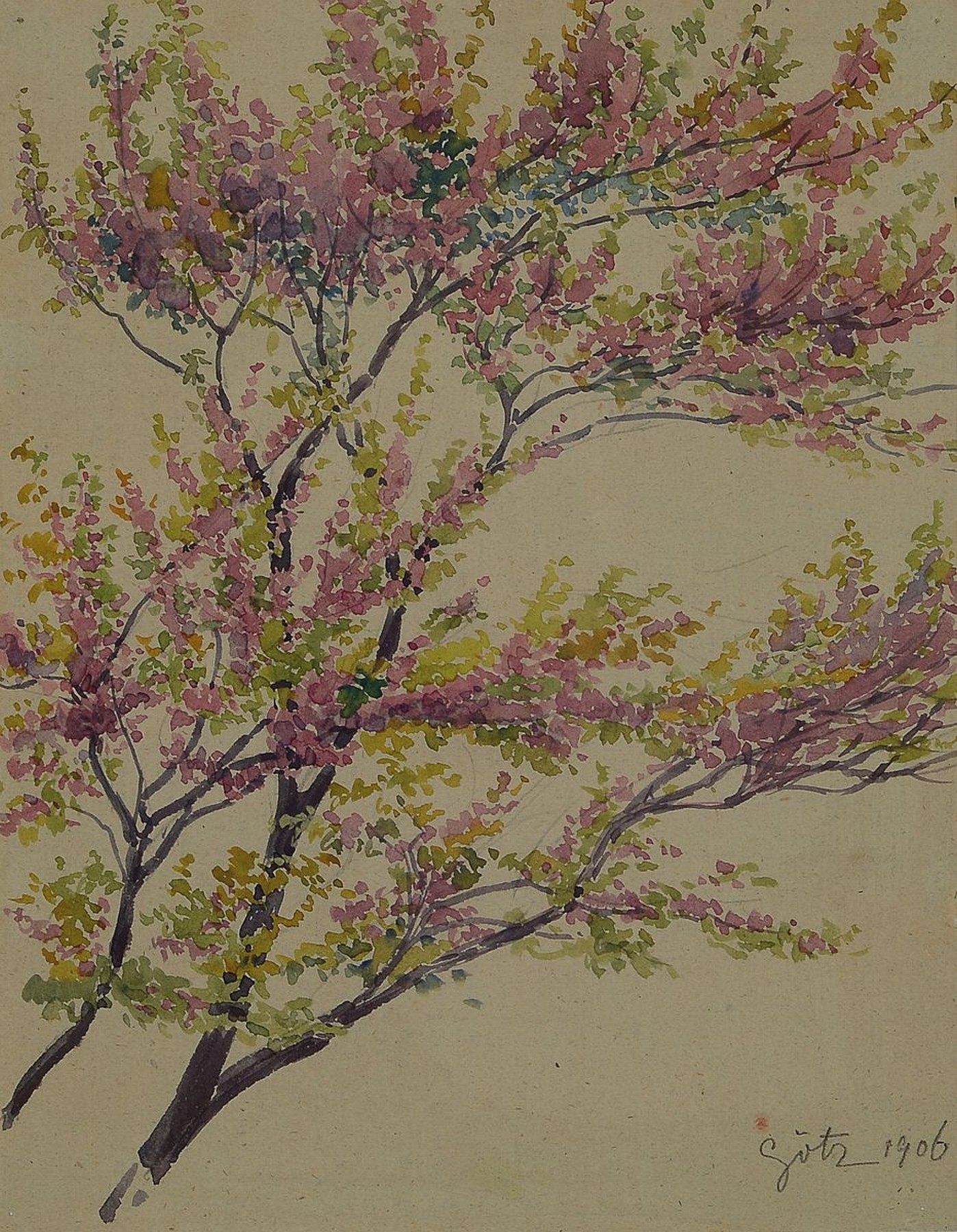 Karl Götz, 1873 Wien - 1956 Krems, Aquarellskizze: rosa blühende Zweige, bräunliches Papier aus Skizzenblock, rechts unten signiert und datiert ...