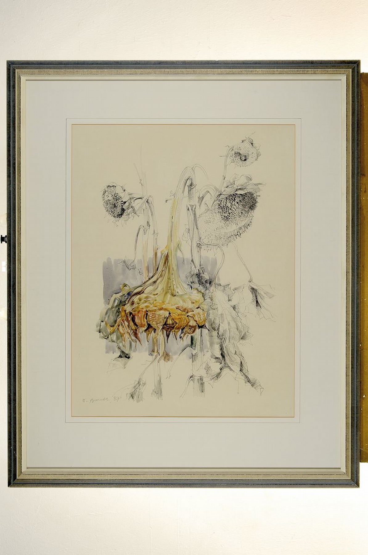 Detail k: Werner Brand, 1933 Löbau-2021 Hochstadt, Sonnenblumen, Aquarell über Bleistift, links unten signiert und dat. 87, ca. 58x44cm, PP, u.Gl., R. ca. ...
