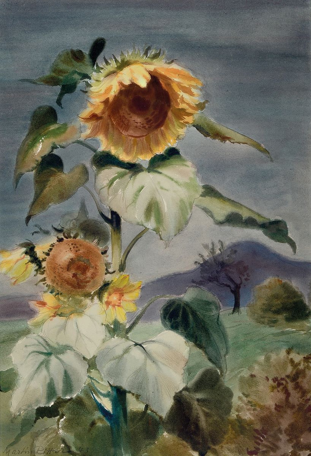 Martin Ritter, 1905 Glauchau-2001 Baldham bei München, war ansässig in Neustadt an der Weinstraße, hier: Sonnenblumen, Aquarell auf Papier, links ...