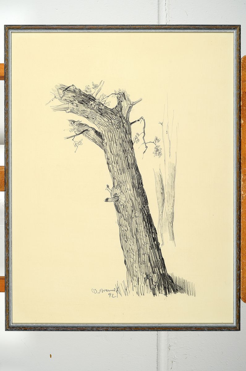 Detail k: Werner Brand, 1933 Löbau-2021 Hochstadt, 2 Bleistiftzeichnungen, 1) Küstenlandschaft, sign. und dat. 78, ca. 37x50cm, PP, u.Gl., R. ca. 60x74cm, 2) ...