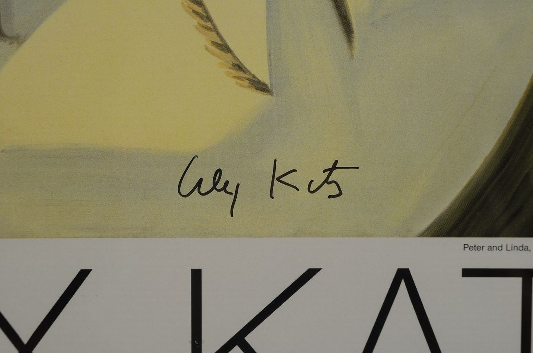Detail a: Alex Katz, geb. 1927, "Peter and Linda", Langen Foundation Neuss 2006, Offsetlithografie, handsign., Blatt ca. 42x29 ,5 cm, unter Plexiglas ...