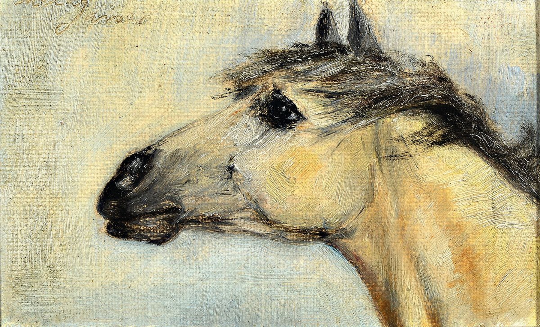 Mela Gaiser, süddeutsche Malerin des frühen 20. Jh., Pferdekopf, Öl/Malkarton, links oben signiert, ca. 10.5x16.5cm, R. ca. 14.5x 20.5cm