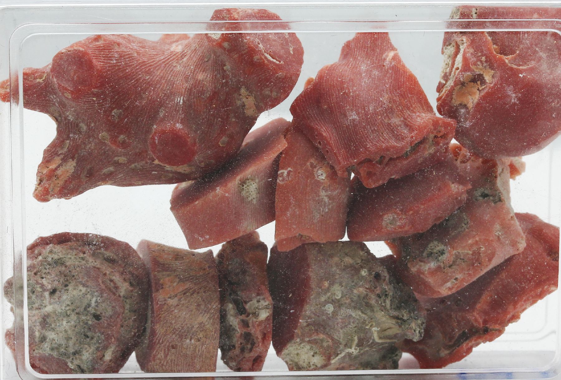 Detail a: Lot lose Korallen zus. ca. 351,00 ct, Rohsteine in versch. Größen, Formen und Farben, Versand nur in EU Länder möglich