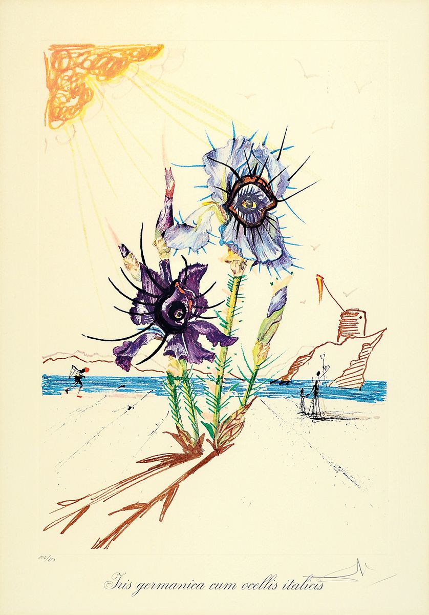 Salvador Dali, 1904 - 1989 Figueres, "Iris germanica cum ocellis italicis" aus der Serie der Surrealistischen Blumen (1972), Heliogravur ...