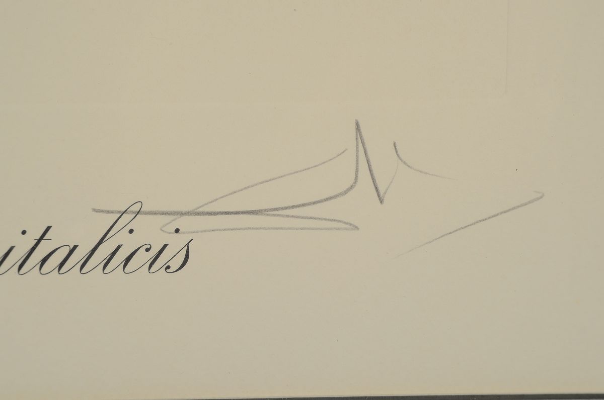 Detail a: Salvador Dali, 1904 - 1989 Figueres, "Iris germanica cum ocellis italicis" aus der Serie der Surrealistischen Blumen (1972), Heliogravur ...