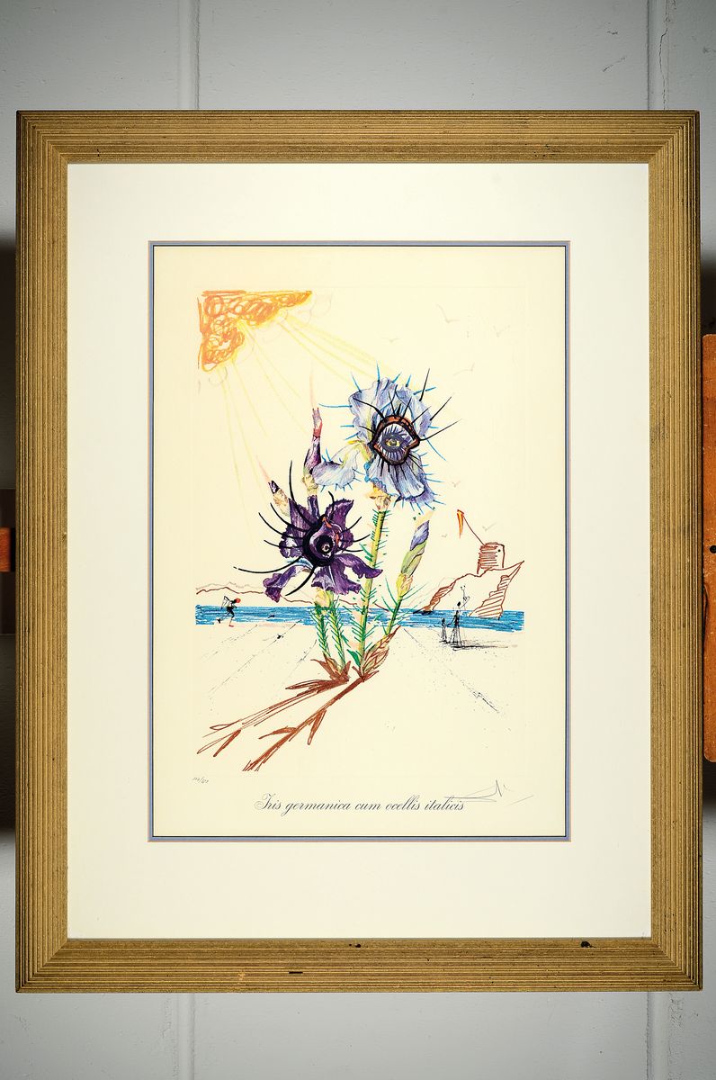 Detail k: Salvador Dali, 1904 - 1989 Figueres, "Iris germanica cum ocellis italicis" aus der Serie der Surrealistischen Blumen (1972), Heliogravur ...