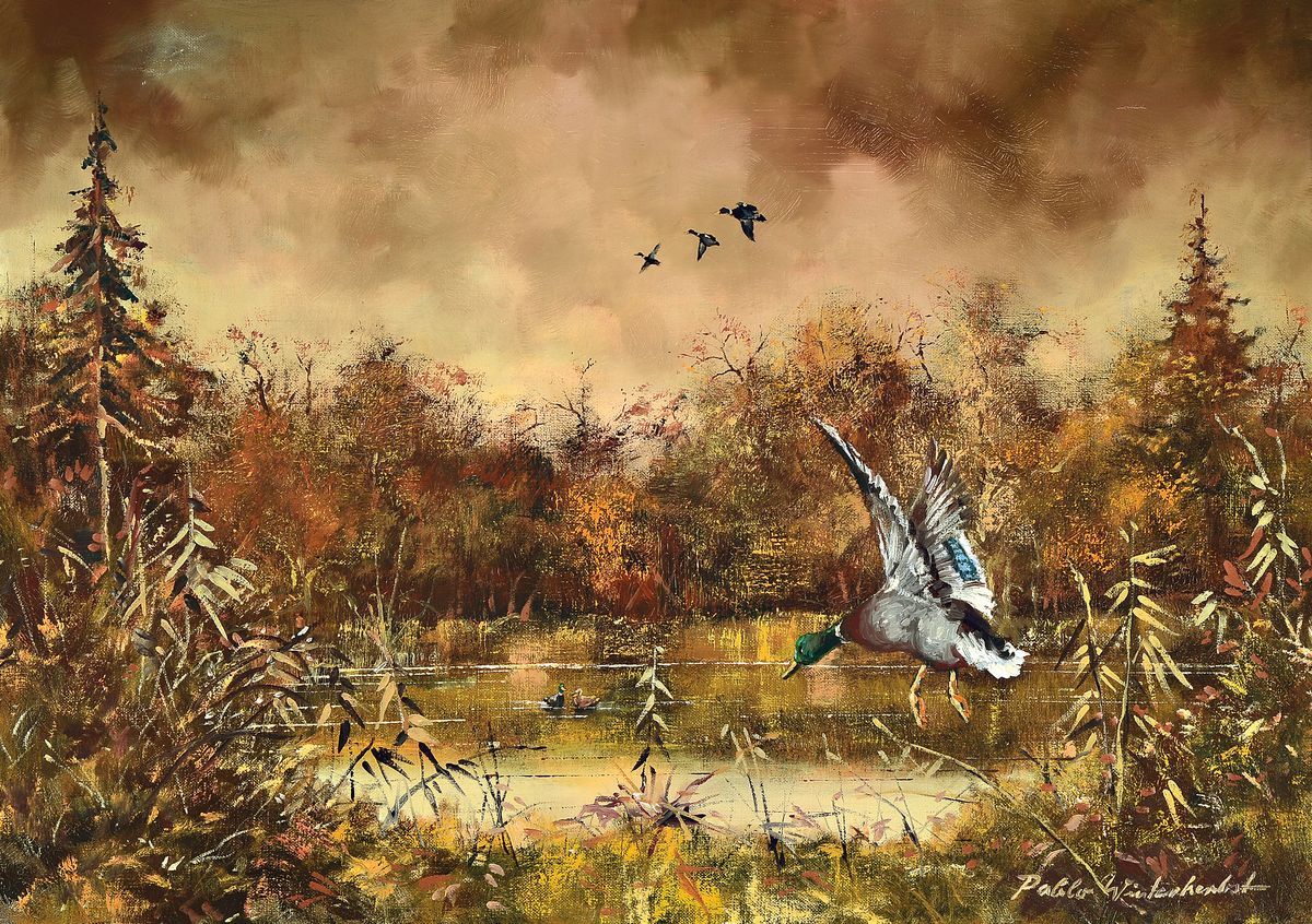 Pablo E. Winterherbst, geb. 1939, "Wildenten im Moor", so verso auf altem Etikett bez., rechts unten signiert, Öl/Lwd, Rahmen, 60x80 cm