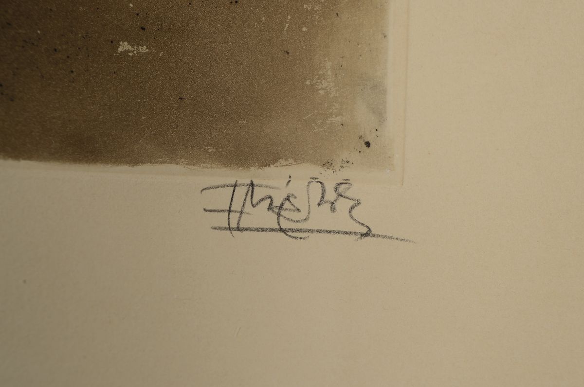 Detail c: Johnny Friedländer, 1912- 1992, zwei großformatige Radierungen, num. 67/135 und 57/135, beide handsigniert, gebräunt, Blattmaß ca. 61 x 56 cm, ...