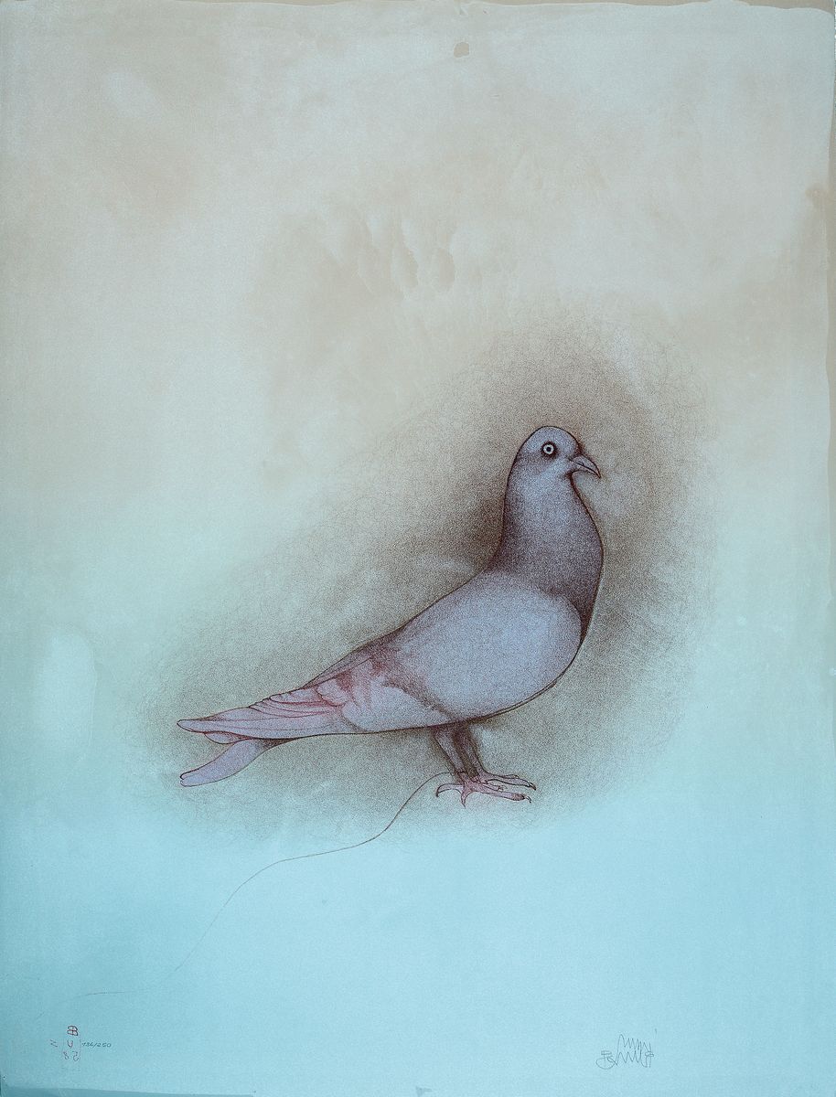 Bruno Bruni, geb. 1935, "Taube", Farblithografie, sign., num. 136/250, ca. 79x59 cm ^
