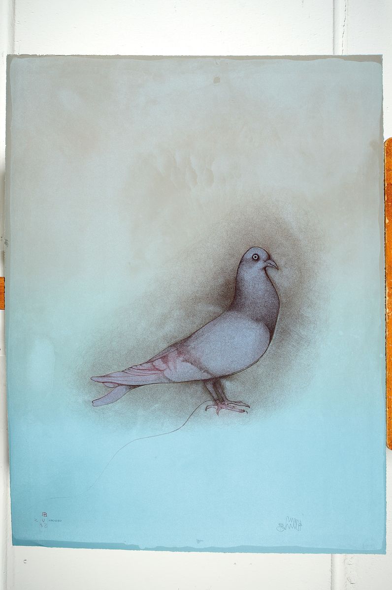 Detail k: Bruno Bruni, geb. 1935, "Taube", Farblithografie, sign., num. 136/250, ca. 79x59 cm ^