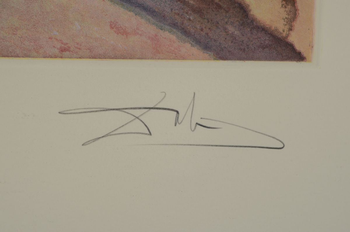Detail a: Salvador Dali, 1904-1989 Figueres/Spanien, Lithographie, "L'elephant et le rapax", num. 166/245, Edition d'Art Les Heures ...