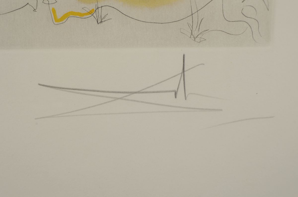 Detail a: Salvador Dalí, 1904-1989, Das Urteil des Paris, Kaltnadelradierung mit Pochoir von 1971, handsigniert und bez. EA., ca. 58.5x39cm, Blattgr. ca. ...