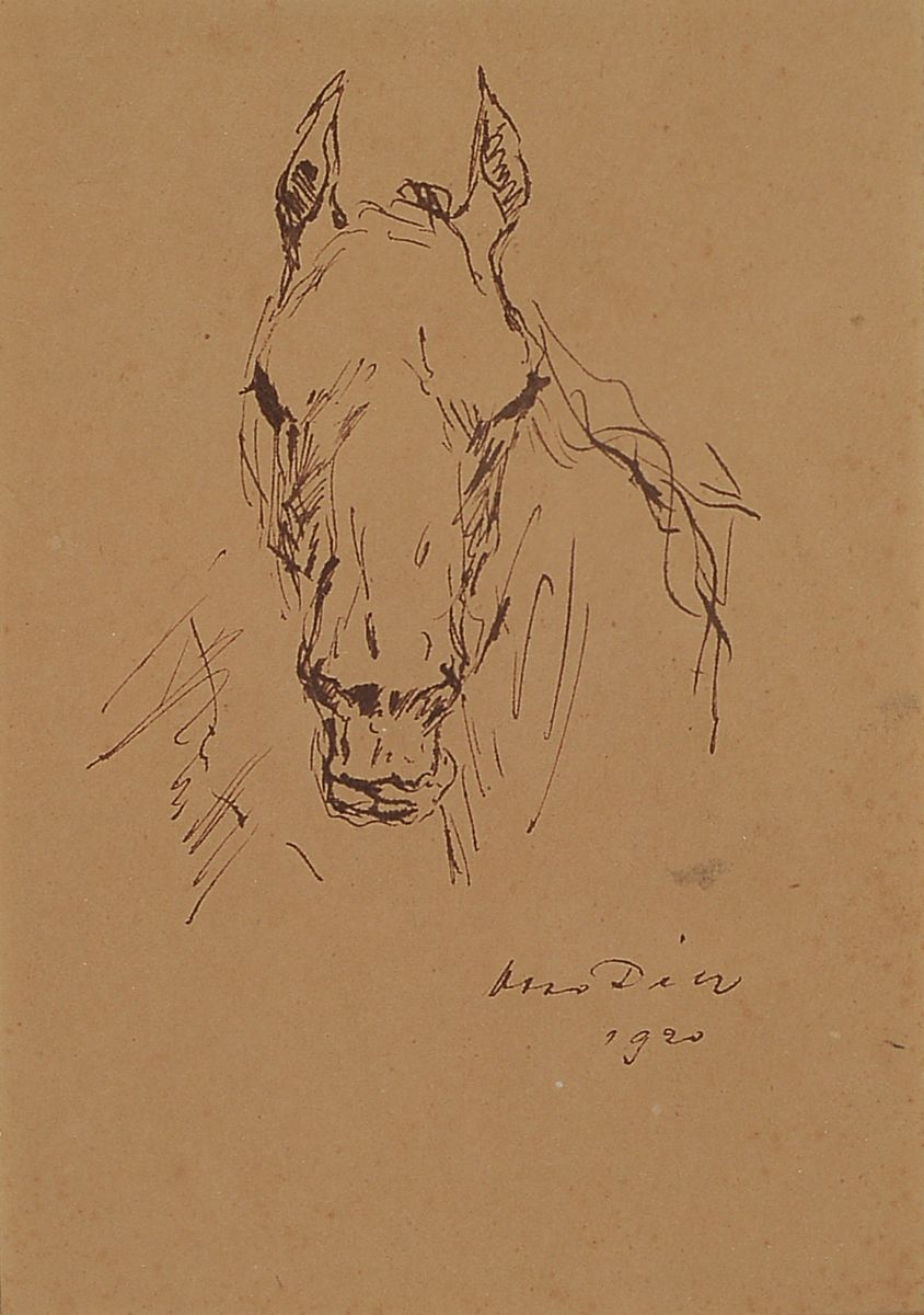 Otto Dill, 1884 Neustadt a.d.Weinstraße-1957 Bad Dürkheim, Pferdekopf, Tuschezeichnung, signiert und dat. 1920, gebräunt, ca. 19x14 cm, PP, u.Gl., ...