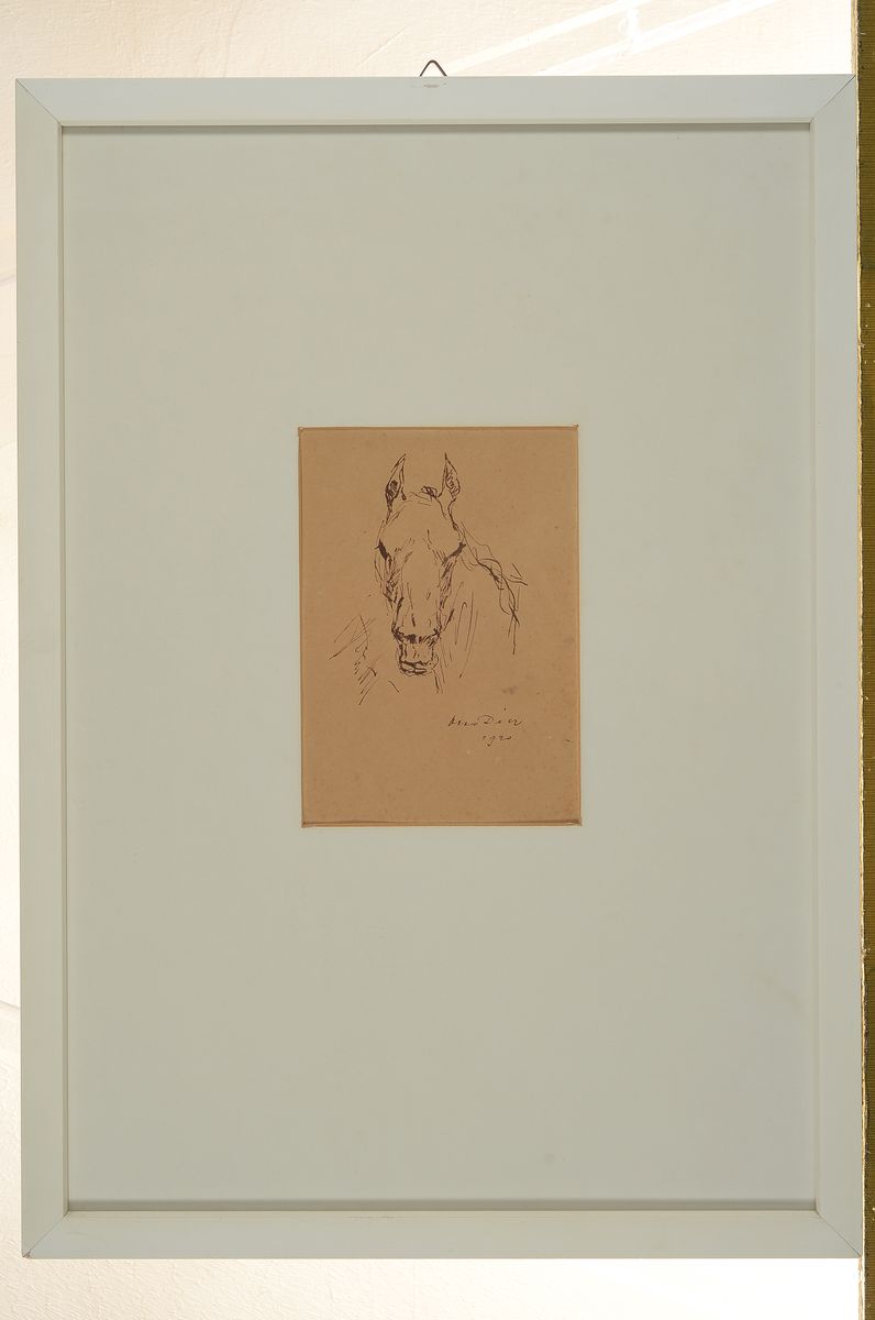 Detail k: Otto Dill, 1884 Neustadt a.d.Weinstraße-1957 Bad Dürkheim, Pferdekopf, Tuschezeichnung, signiert und dat. 1920, gebräunt, ca. 19x14 cm, PP, u.Gl., ...