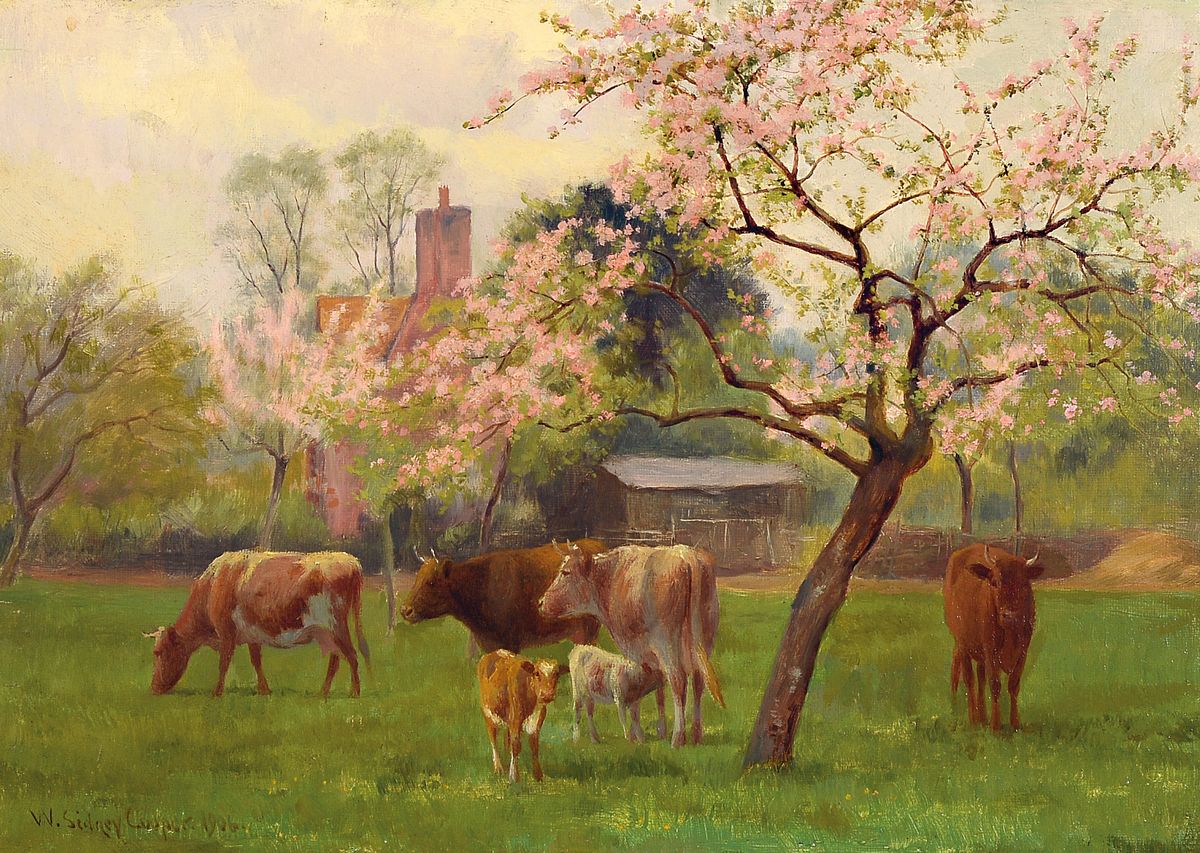 William Sidney Cooper, 1854-1927, britischer Tier- und Landschaftsmaler der Region Kent, Ausstellungen in der Royal Academy, hier: Rinder auf ...