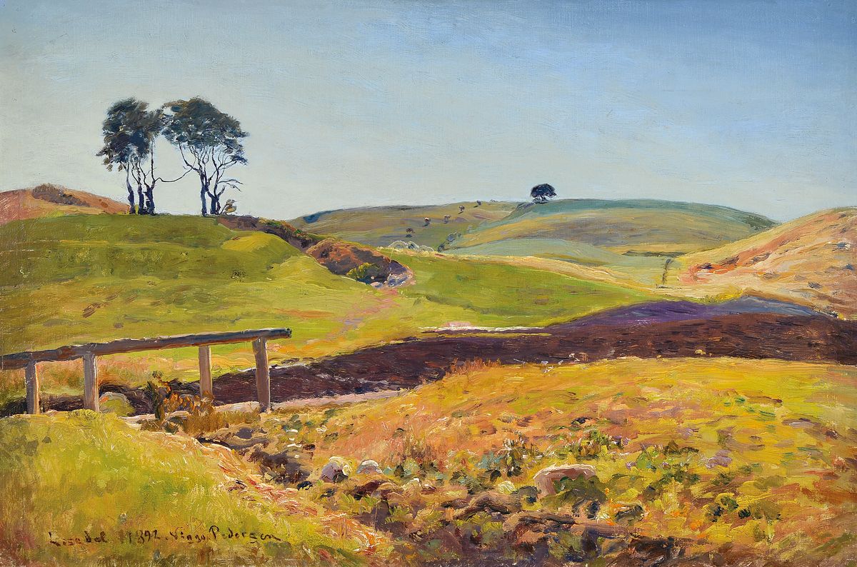 Vingu Pedersen o.ä., dänischer Künstler Ende 19.Jh., küstennahe Landschaft, signiert und datiert 1892, Öl/Holz, Rahmen, 64x91 cm
