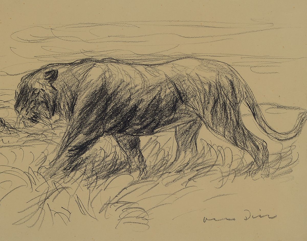 Otto Dill, 1884 Neustadt a.d. Weinstraße - 1957 Bad Dürkheim, Bleistiftzeichnung auf Papier, schreitender Tiger, rechts unten sign., PP, unter ...
