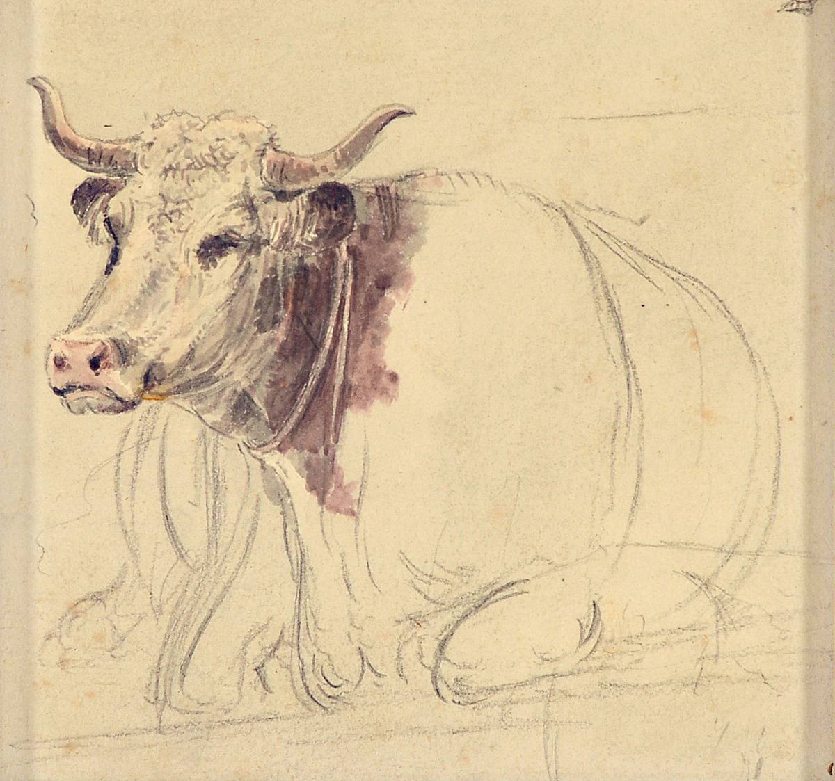 Detail a: Zuschreibung: Friedrich Salathé, 1793 Binningen bei Basel-1858 Paris, 2 Skizzen, 1x liegende Kuh im Stall, Aquarell auf Papier, ca. 9.5x13cm; 1x ...