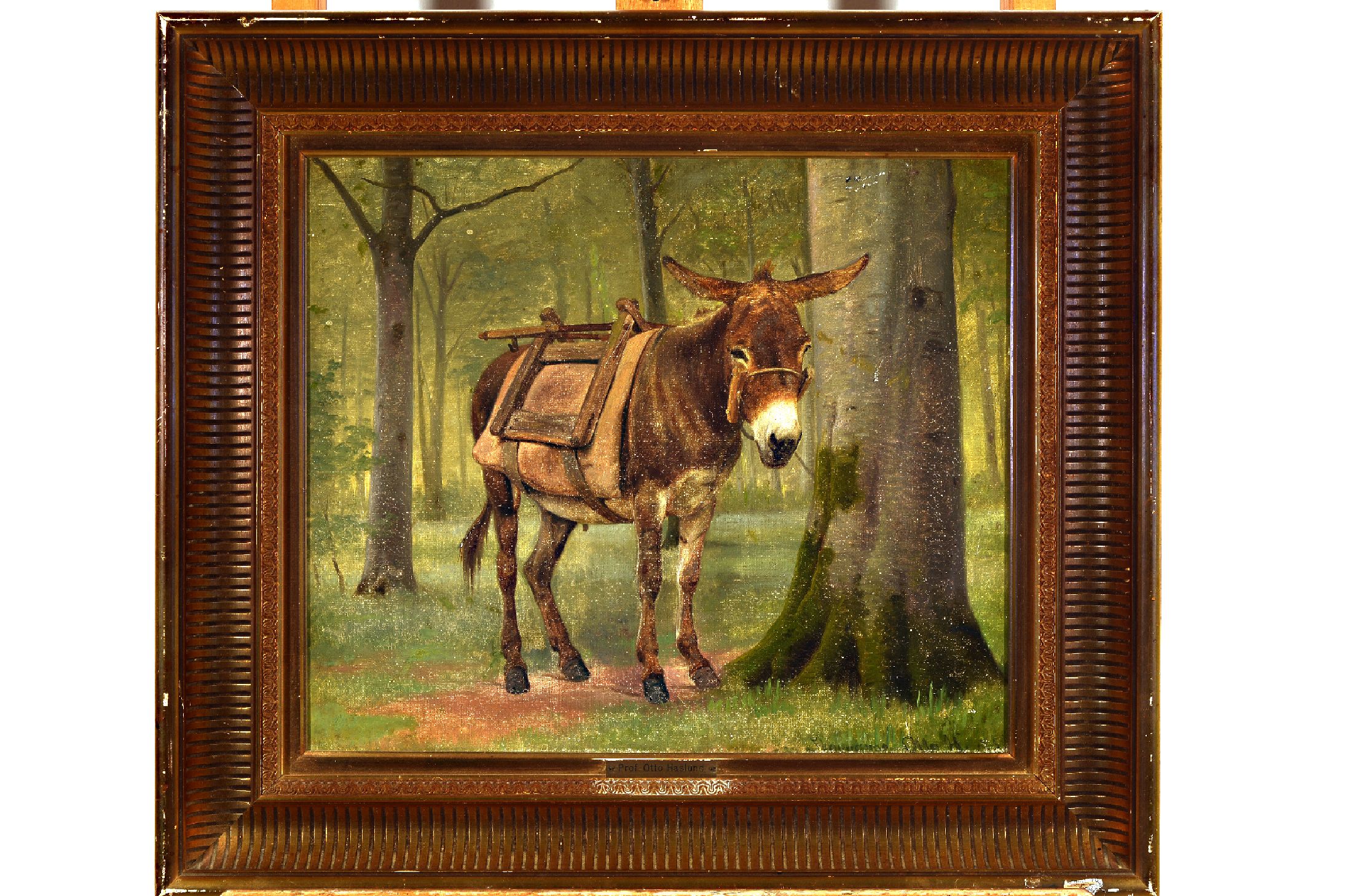 Otto Haslund, 1842 Kopenhagen-1917 Koldby, Esel, Öl/Lwd, kleinere Farbfehlstellen, rechts unten signiert, ca. 36x42cm, R. ca. 50x58cm