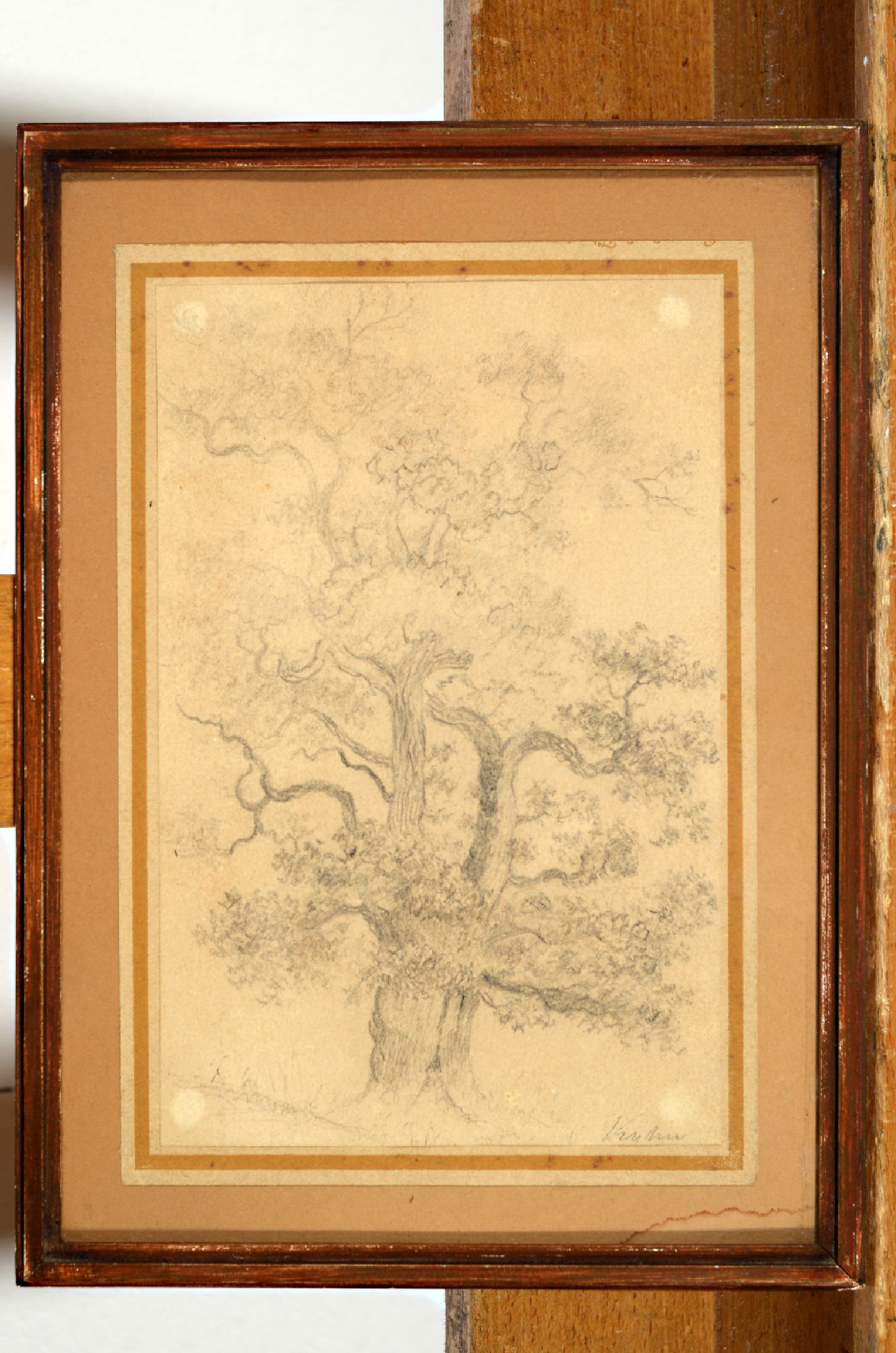 Vilhelm Peter C. Kyhn, 1819 Kopenhagen-1903 Frederiksberg, Knorriger Baum, Bleistift auf Papier, gebräunt, rechts unten signiert, ca. 19x13cm, ...