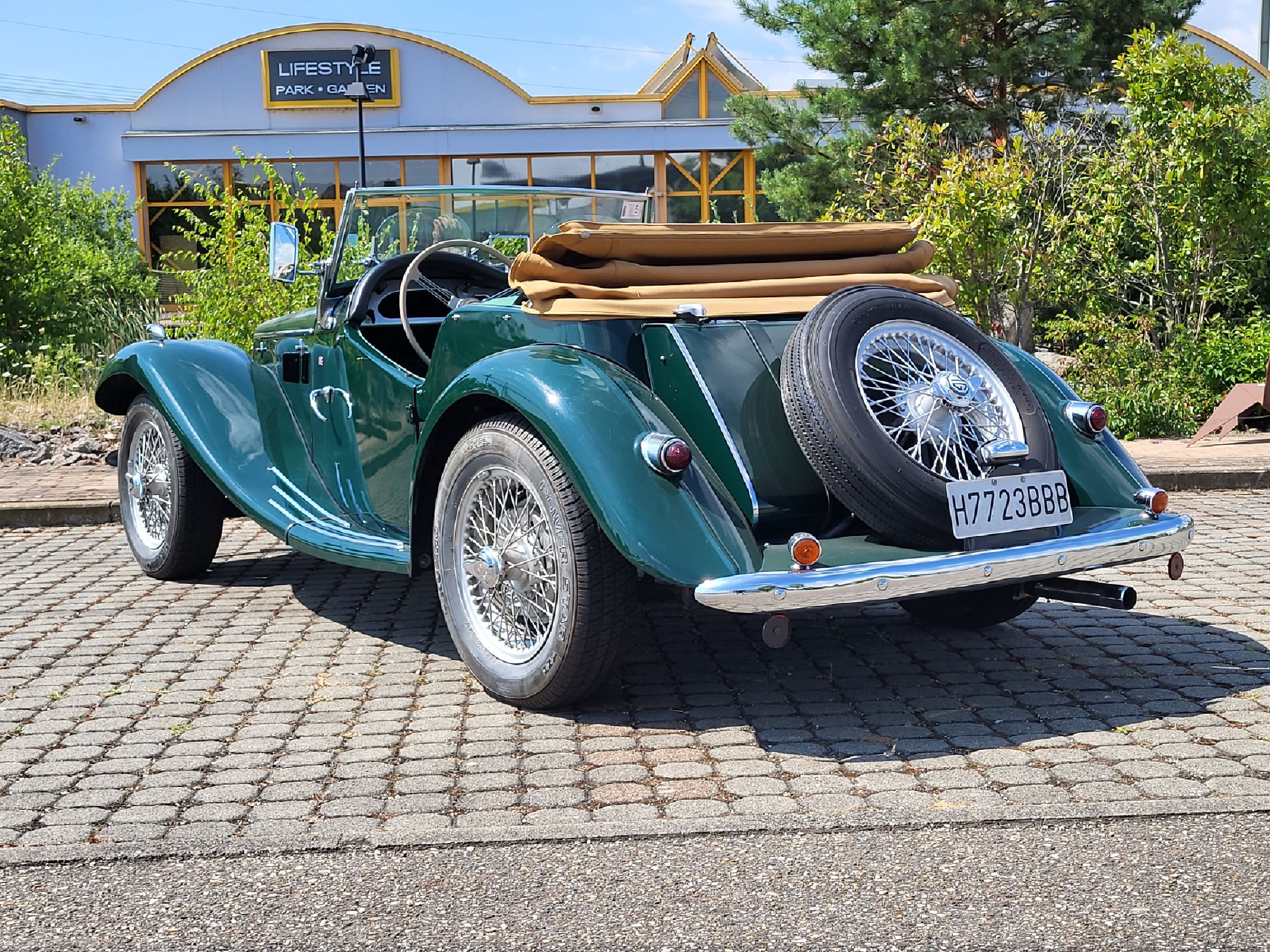 Detail a: MG - TF 1250 Roadster, EZ 01/1954, Fahrgestellnummer: HDA46Y3507 Motor. Nr. XPAG/TF 33258, Laufleistung ca. 55.500 km, 42 kW/ 57 PS, dieser aus einer ...