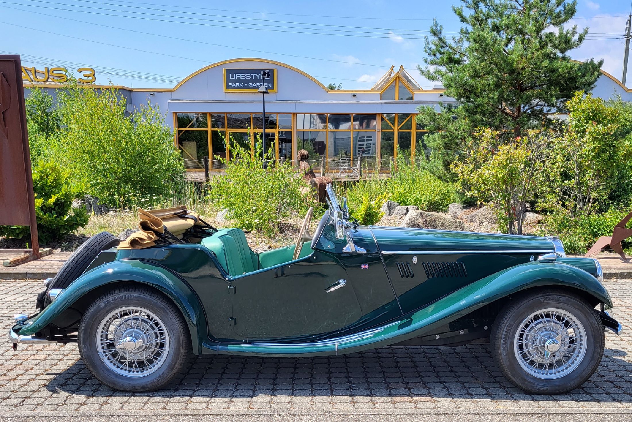 Detail b: MG - TF 1250 Roadster, EZ 01/1954, Fahrgestellnummer: HDA46Y3507 Motor. Nr. XPAG/TF 33258, Laufleistung ca. 55.500 km, 42 kW/ 57 PS, dieser aus einer ...