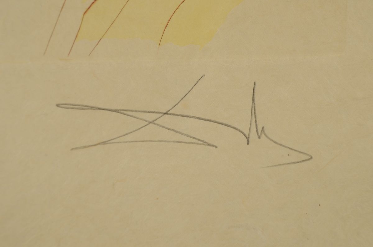 Detail a: Salvador Dali, 1904-1989, Des Königs Gefolge, aus der Serie: Das Hohe Lied des Salomon von 1971, Radierung mit Pochoir und Goldauflage, handsign. ...