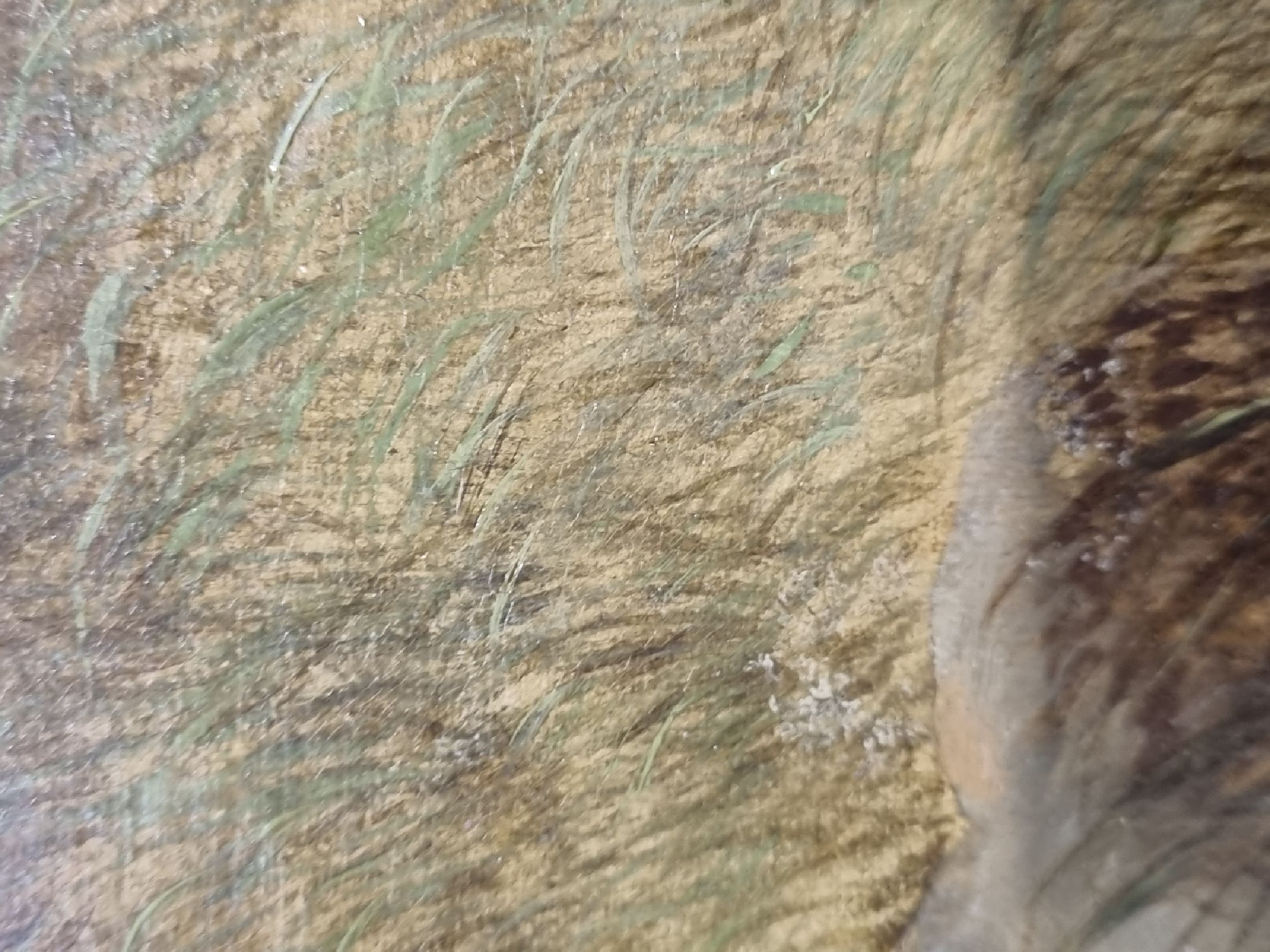 Detail a: Martin Theodore Ward, 1799 London - 1874, Schüler von Edwin Landseer, einer der angesehensten Tiermaler Großbritanniens, zwei Terrier beim erlegen ...