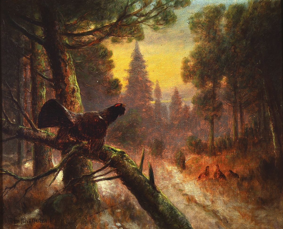 Otto Scheuerer, 1862-1934 München, Studium an der Akademie München bei Karl Raupp, Auerhähne im Zwielicht, Öl/Lwd, signiert, Rahmen best., 43x52 ...