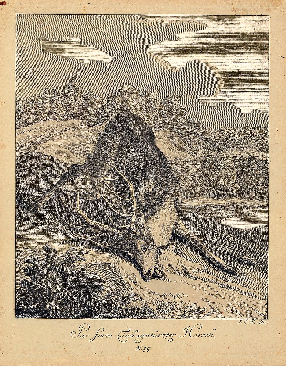 Detail b: Johann Elias Ridinger, 4 Kupferstiche, 2 Studienblätter mit Hundeköpfen, PP: ca. 18.5 x 22.5 cm, u. Glas, Rahmen: ca. 36 x 39cm, b. "Spurh ...