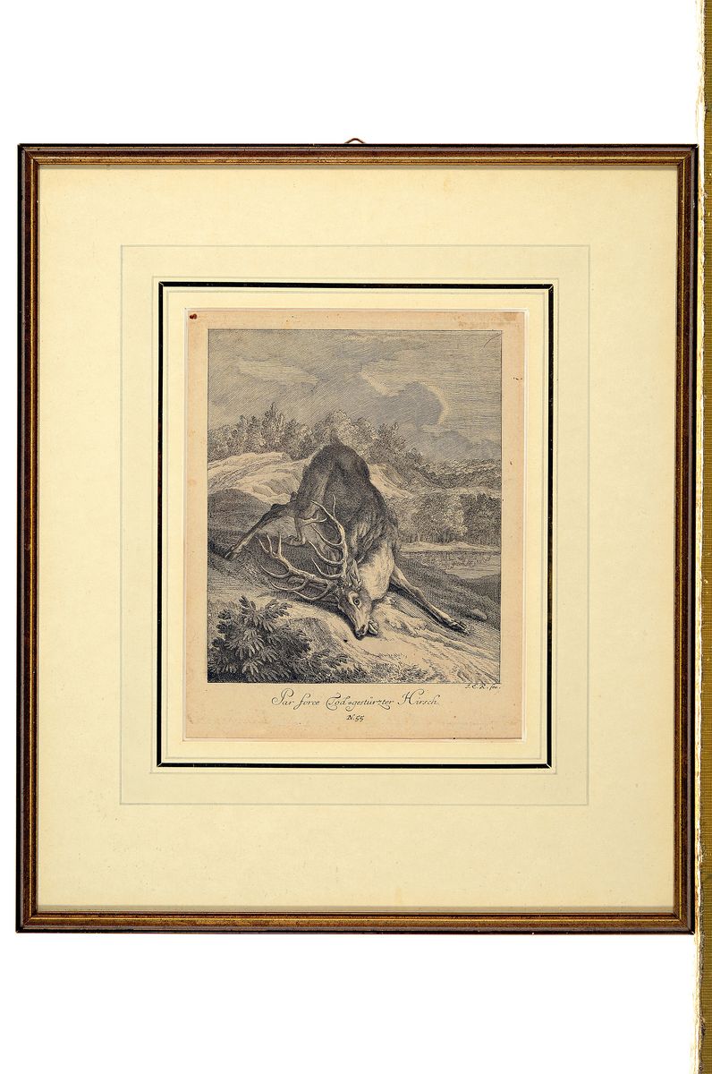 Detail m: Johann Elias Ridinger, 4 Kupferstiche, 2 Studienblätter mit Hundeköpfen, PP: ca. 18.5 x 22.5 cm, u. Glas, Rahmen: ca. 36 x 39cm, b. "Spurh ...