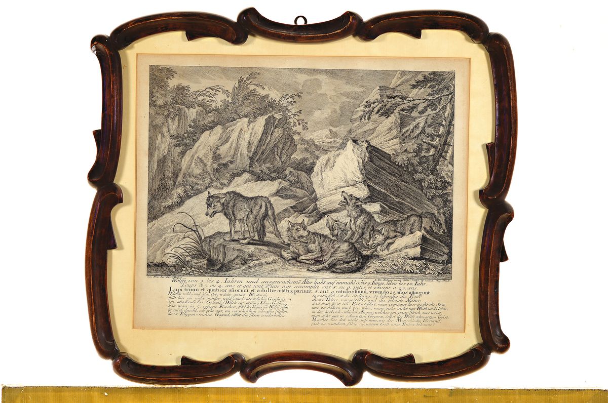 Detail k: Johann Elias Ridinger, 1698 Ulm- 1767 Augsburg, 2 Kupferstiche: "Der Wolff in der Grube zu fangen mit dem Lam oder Schaff" und Kupferstich ...
