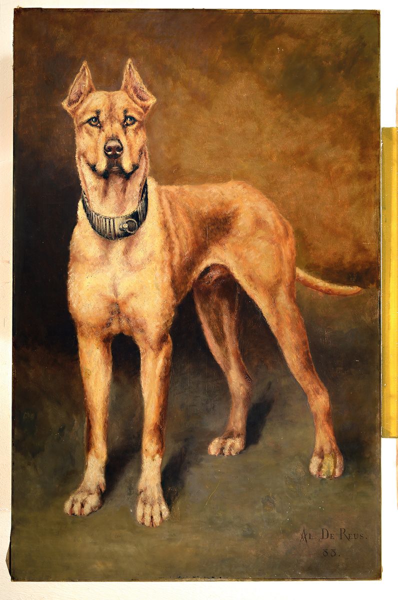 Detail k: Alexis de Reus, 1848 Antwerpen-1918 Brüssel,bekannter belgischer Tiermaler, hier: Herrschaftliche Dogge in Lebensgröße, Öl/Lwd, rest., rechts ...