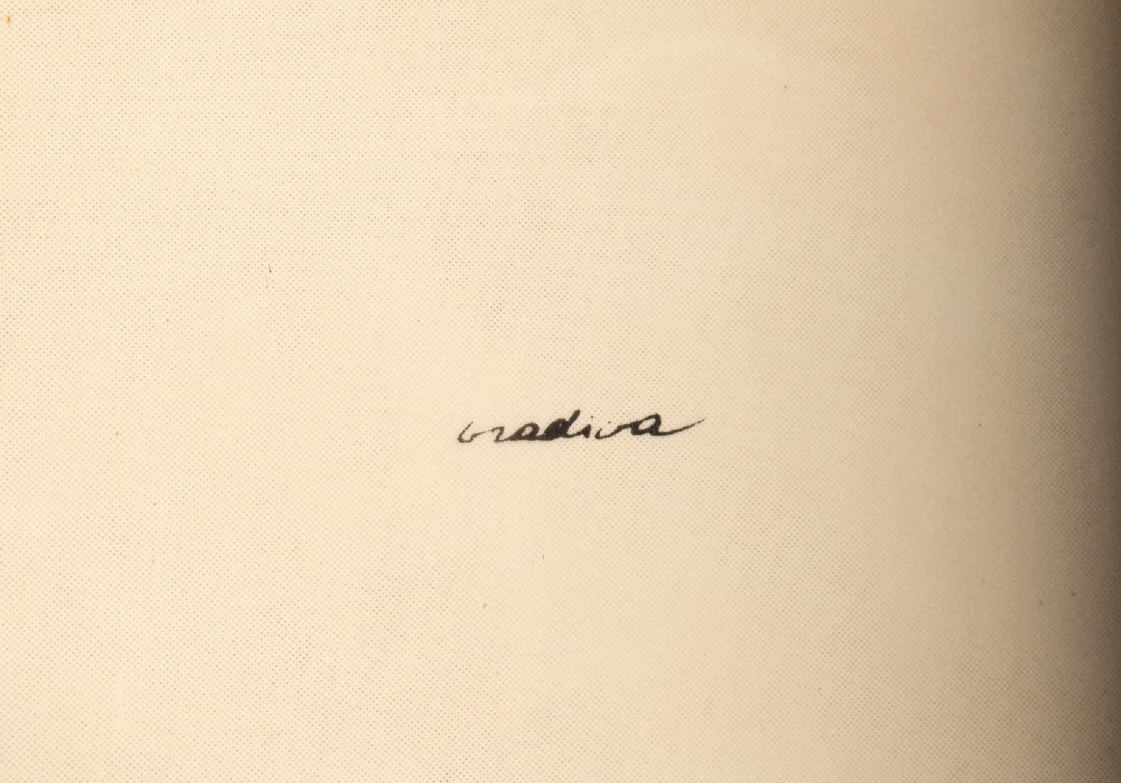 Detail a: Unbekannter zeitgenössischer Künstler, Torse de femme, Lithographie mit transparenterWort- und Satzfole in französischer Sprache, unleserlich ...